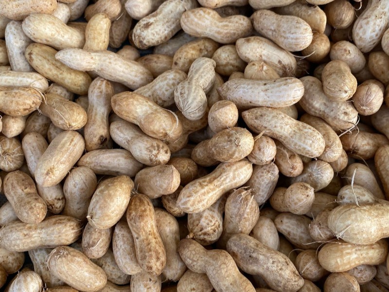 La cacahuète