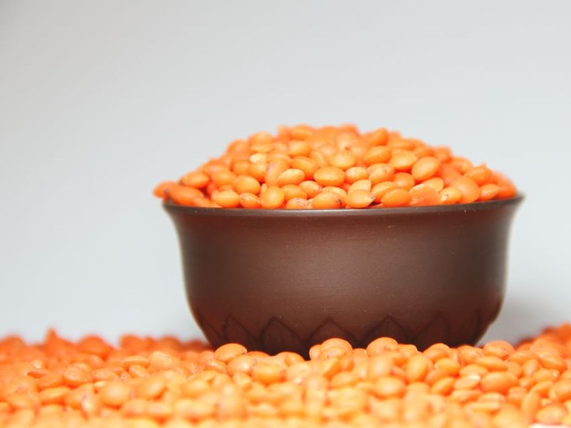 Les lentilles corail